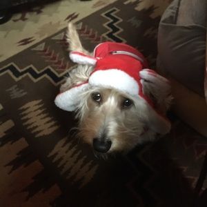 Meet your Posher, Deb